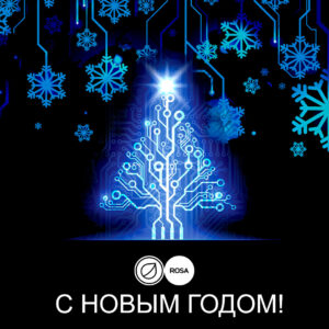 Read more about the article С наступающим Новым годом!